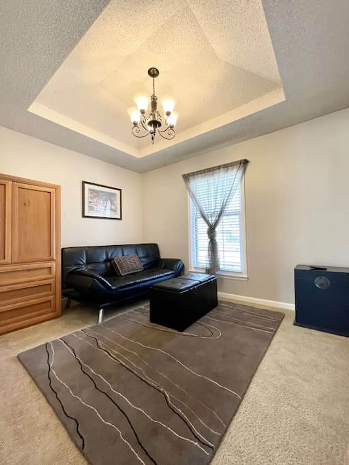 A spacious living area with a striking chandelier, a patterned rug, and a plush black sofa, perfect for relaxing or gathering with friends. The mix of textures and decor hints at eclectic design choices throughout the home.